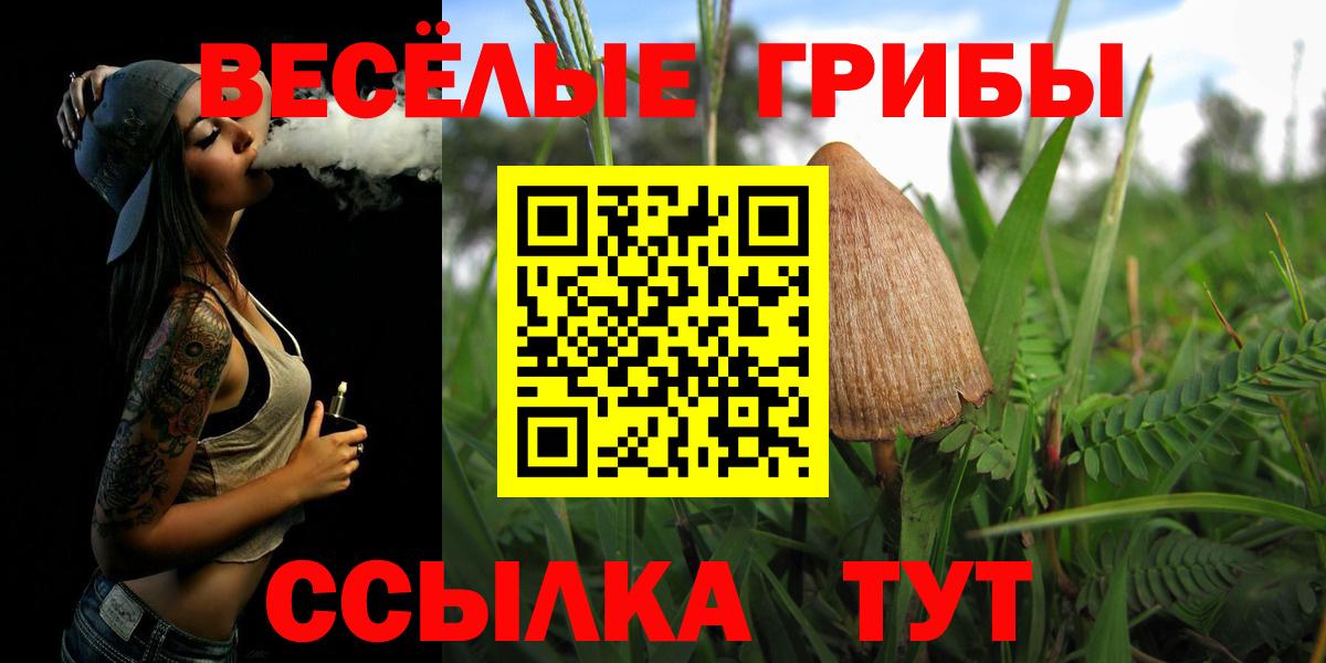 Галлюциногенные грибы GOLDEN TEACHER Искитим