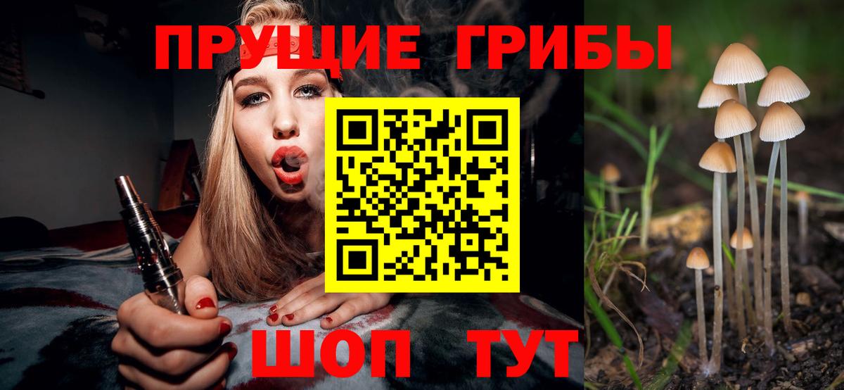 Искитим  Псилоцибиновые грибы MAGIC MUSHROOMS  Вход с VPN 
